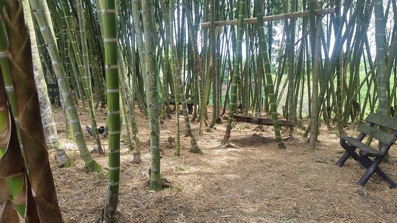 Finca Nuestro Sueno Villa Quimbaya Bagian luar foto